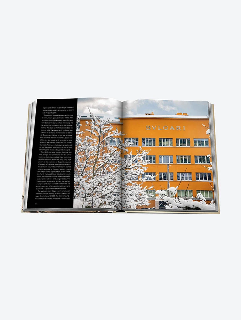 Bulgari beyond time - Image 11