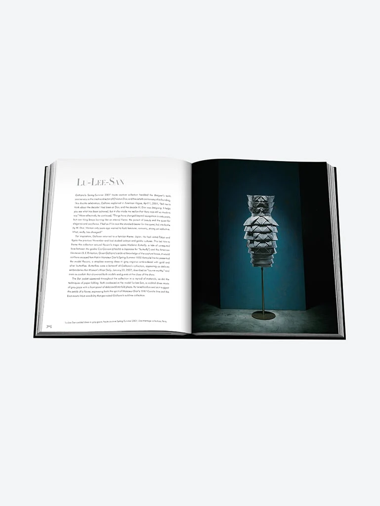 Dior by john galliano - Image 10