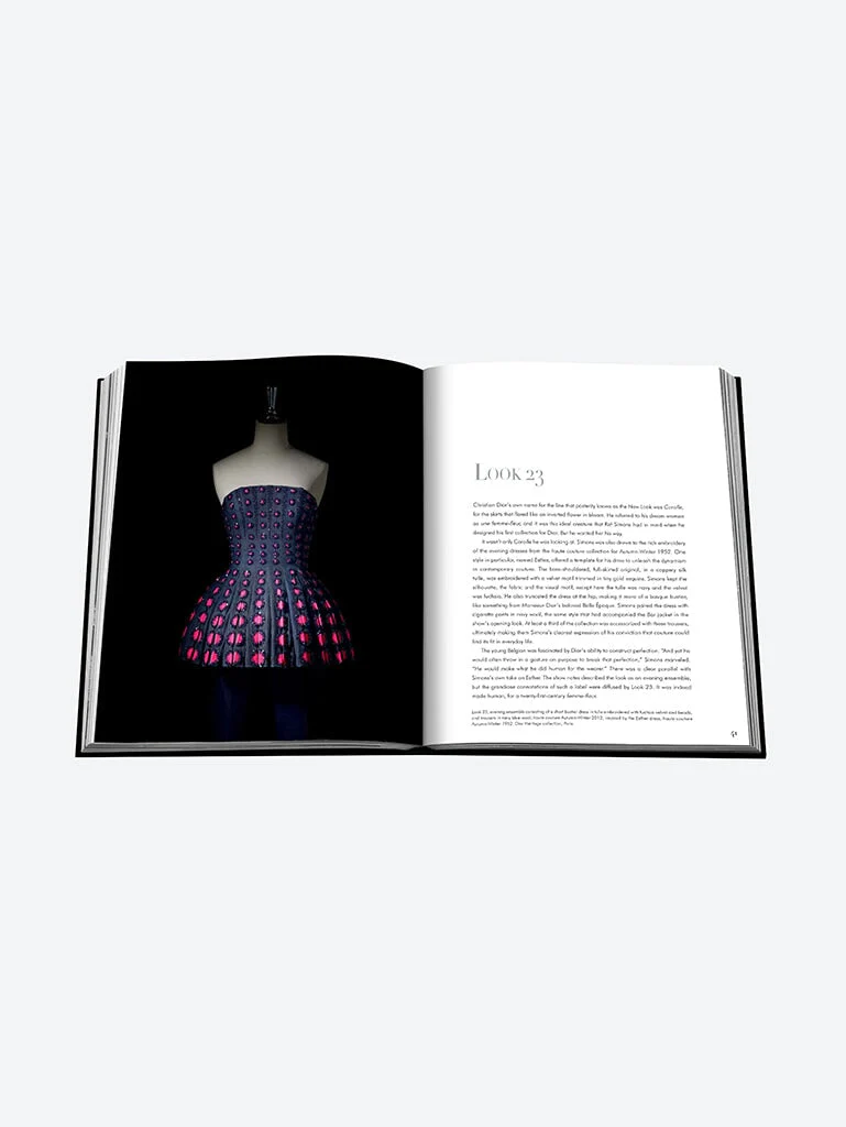 Dior by raph simons english - Image 7