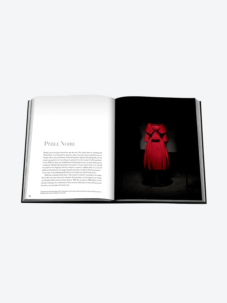DIOR BY YSL - Image 7