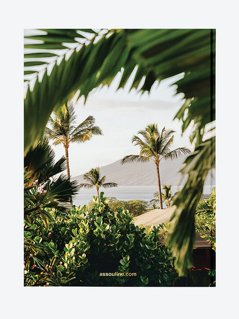 Hotel wailea - Image 2