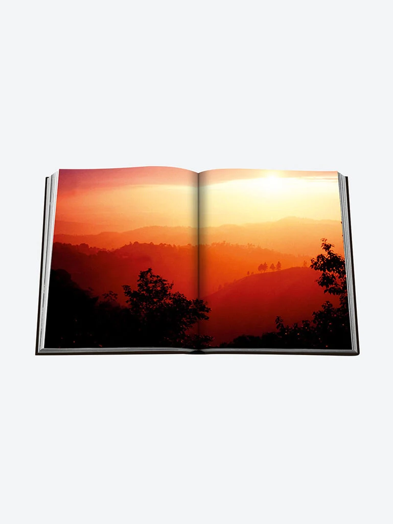 Jamaica vibes - Image 13