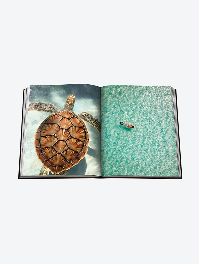 Jamaica vibes - Image 4