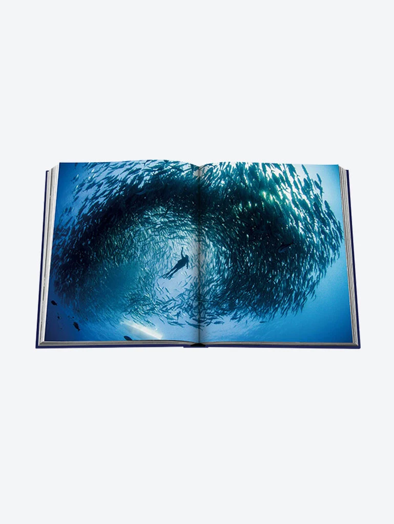 Ocean wanderlust - Image 10