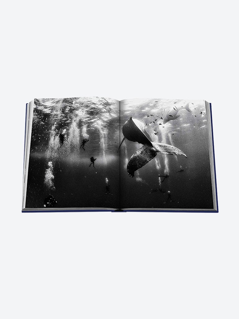 Ocean wanderlust - Image 11