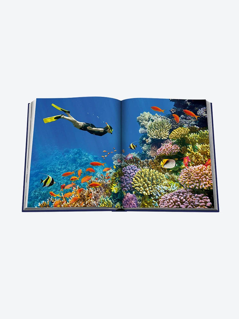 Ocean wanderlust - Image 6