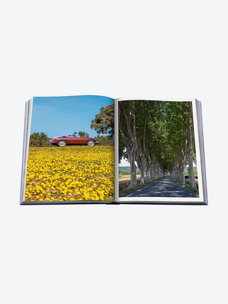 Provence glory - Image 11