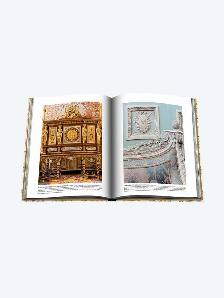 VERSAILLES: FROM LOUS XIV TO JEFF K - Image 17
