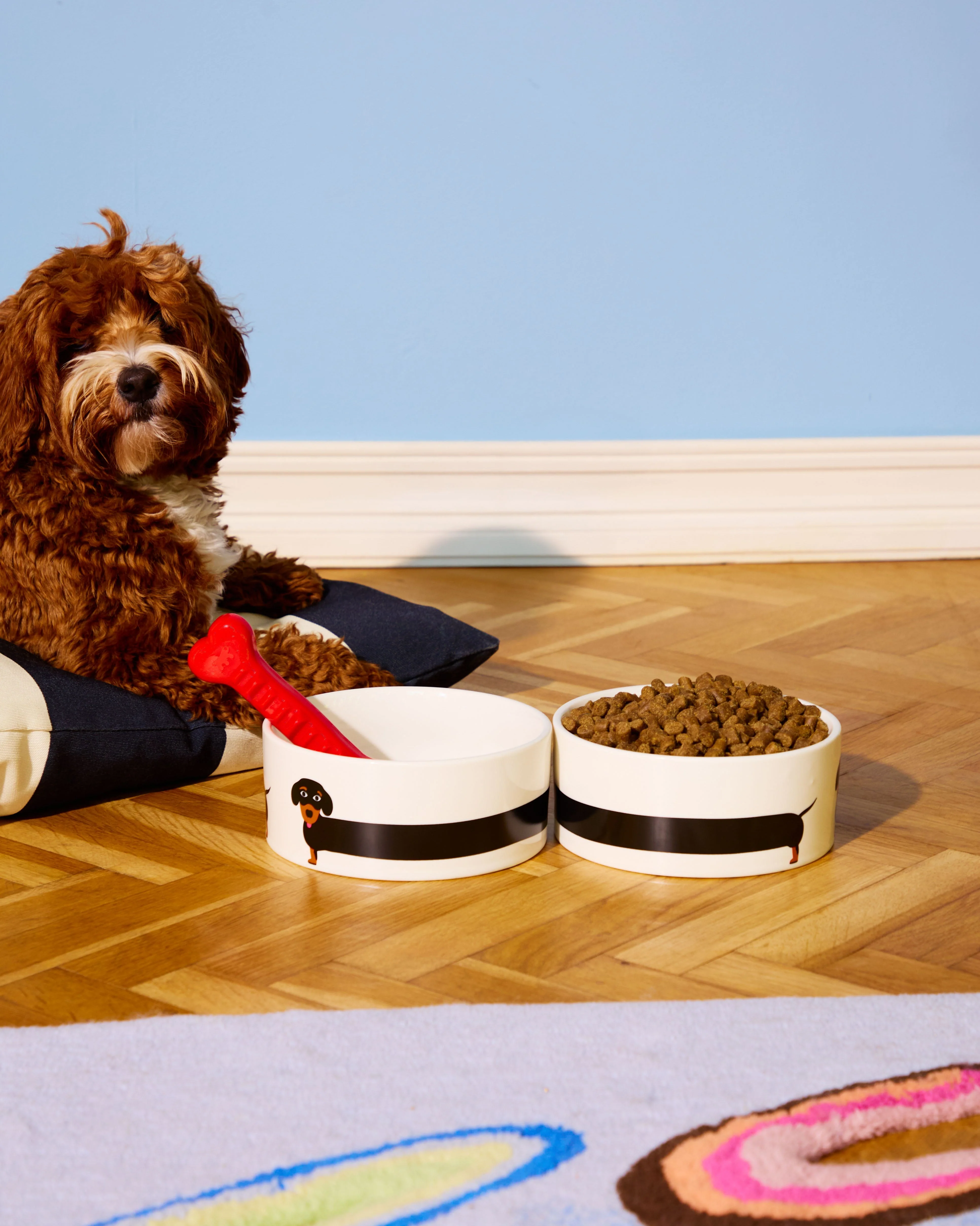 Bowl dog - Image 3