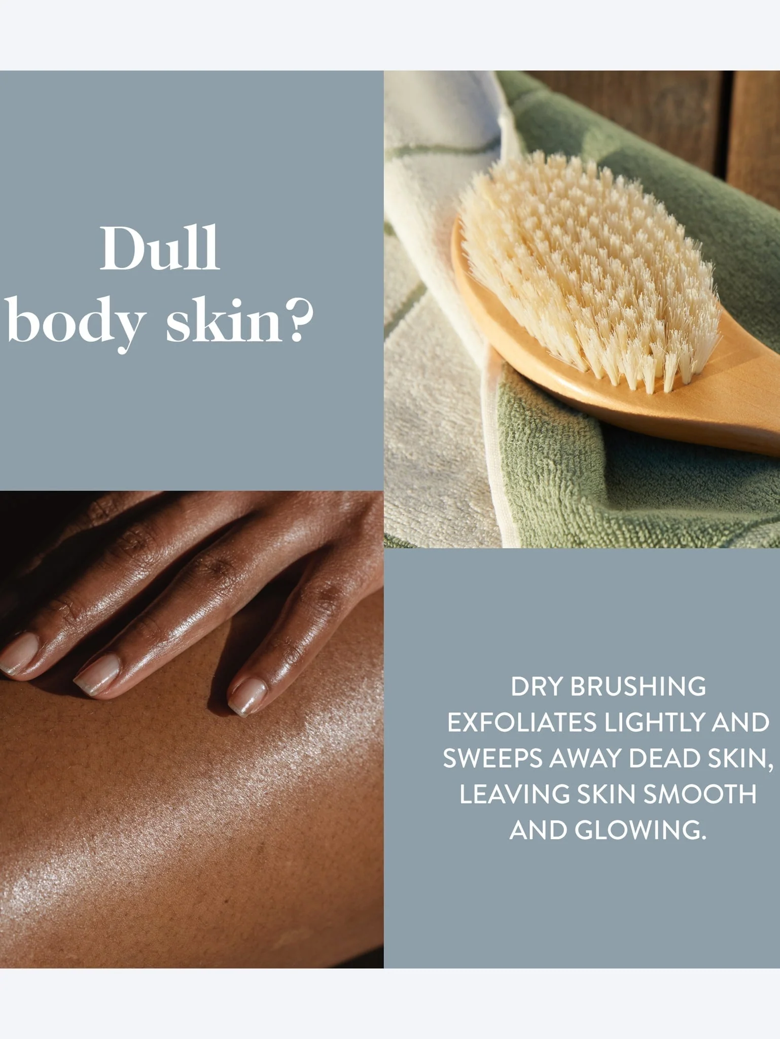 Ultimate dry brush - Image 8