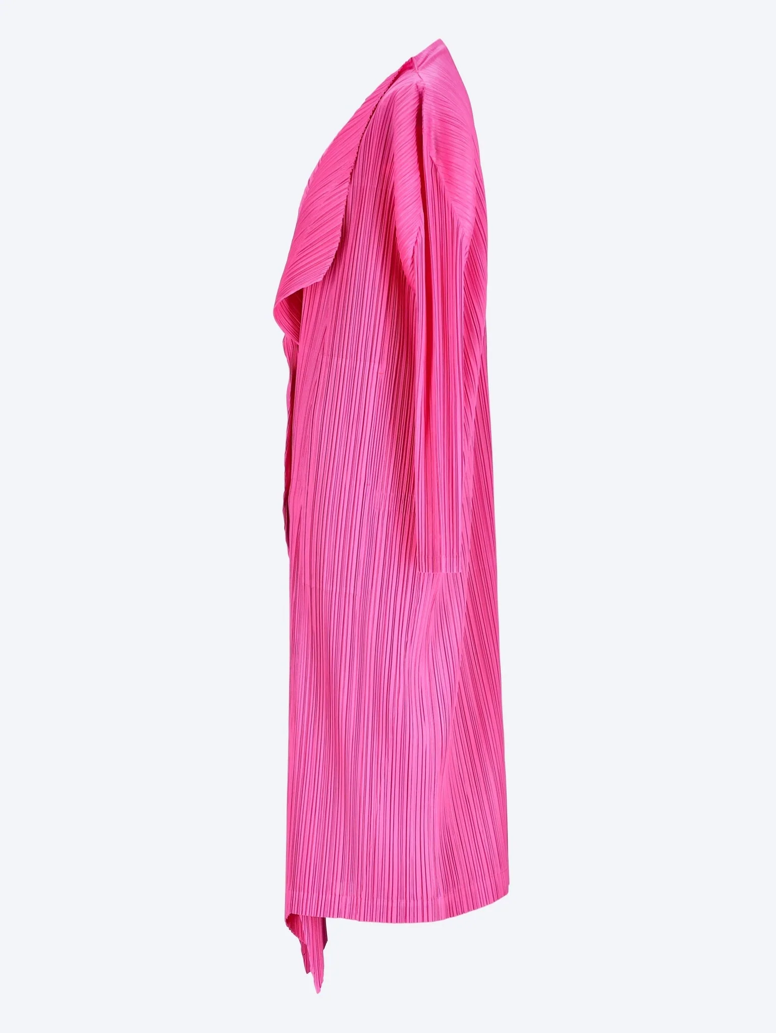 January coat - Image 2