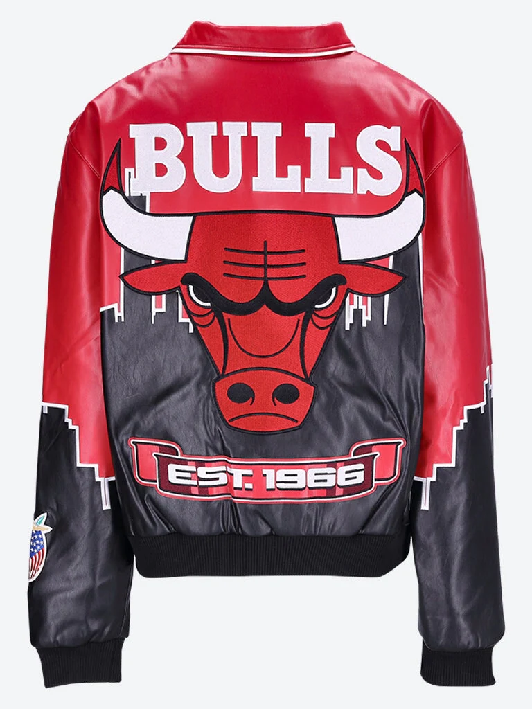 Skyline chicago bulls jacket - Image 3